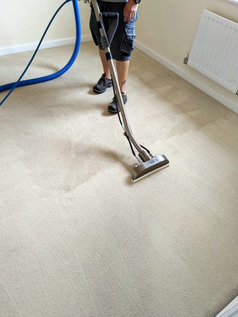 Cleaned hallway carpet with the traffic lane lifted